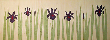 Iris Field panel